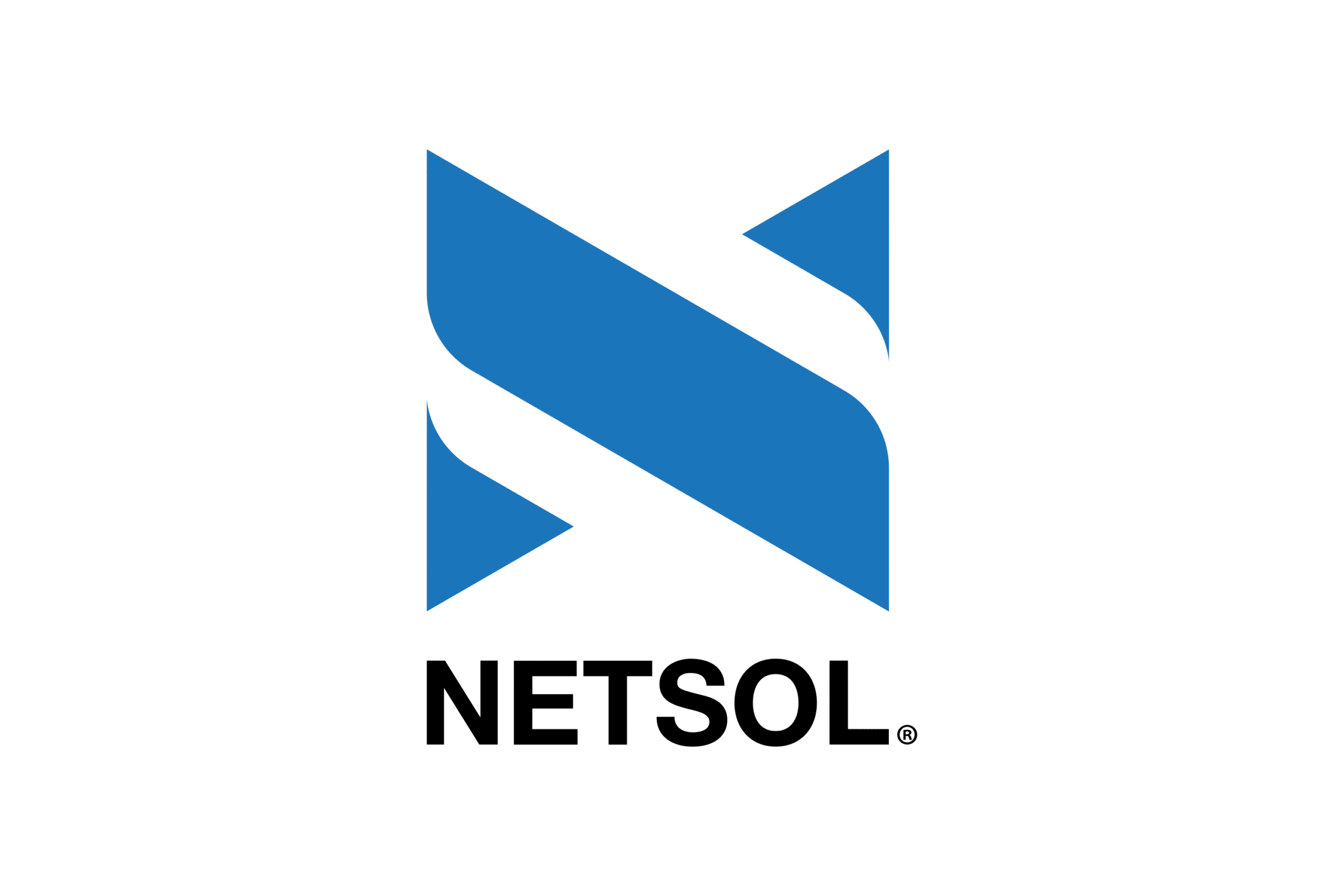Netesol logo