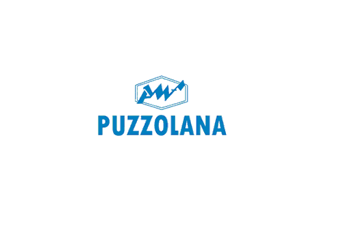 Pazzalona Machine Fabricators logo